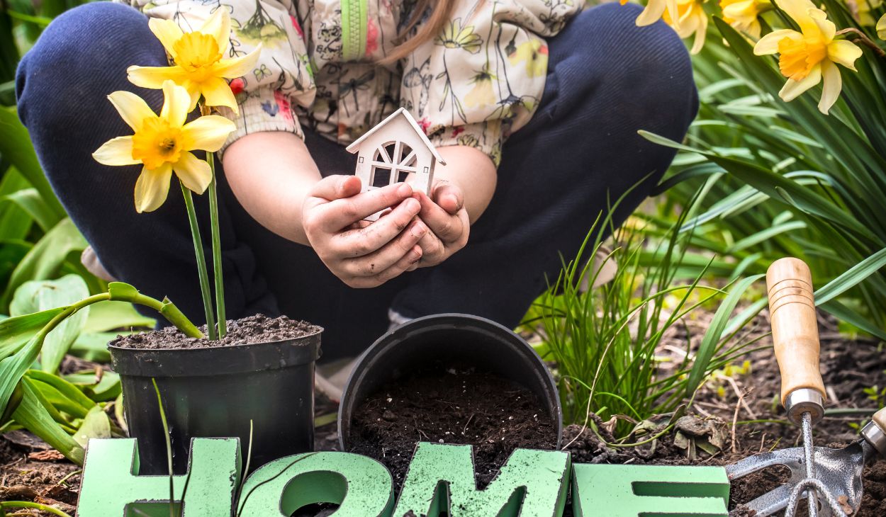 Home Advice DecadGarden