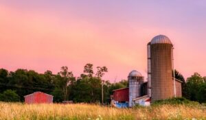 Silo House