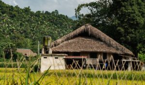 thatched roof