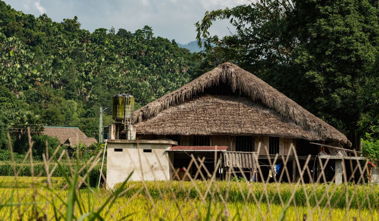thatched roof
