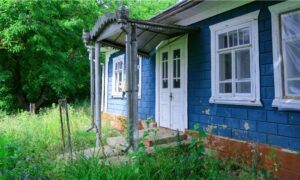 Shed to Tiny Home